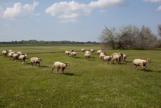 Miből készül?